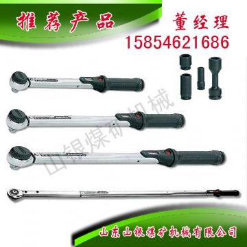 点击查看详细信息<br>标题：显示扭力扳手 阅读次数：1960