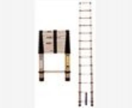 点击查看详细信息<br>标题：伸缩梯 阅读次数：1878