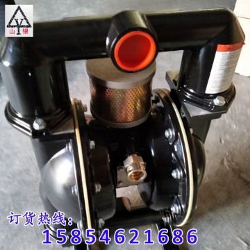 点击查看详细信息<br>标题：气动隔膜泵制造销售售后气动隔膜泵一条龙服务 阅读次数：1715