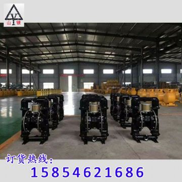 点击查看详细信息<br>标题：隔膜泵_气动隔膜泵_隔膜泵价格_隔膜泵 阅读次数：1938