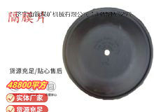 点击查看详细信息<br>标题：气动隔膜泵配件-隔膜片 阅读次数：310