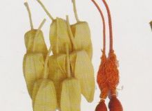 点击查看详细信息<br>标题：取气样球胆 阅读次数：264